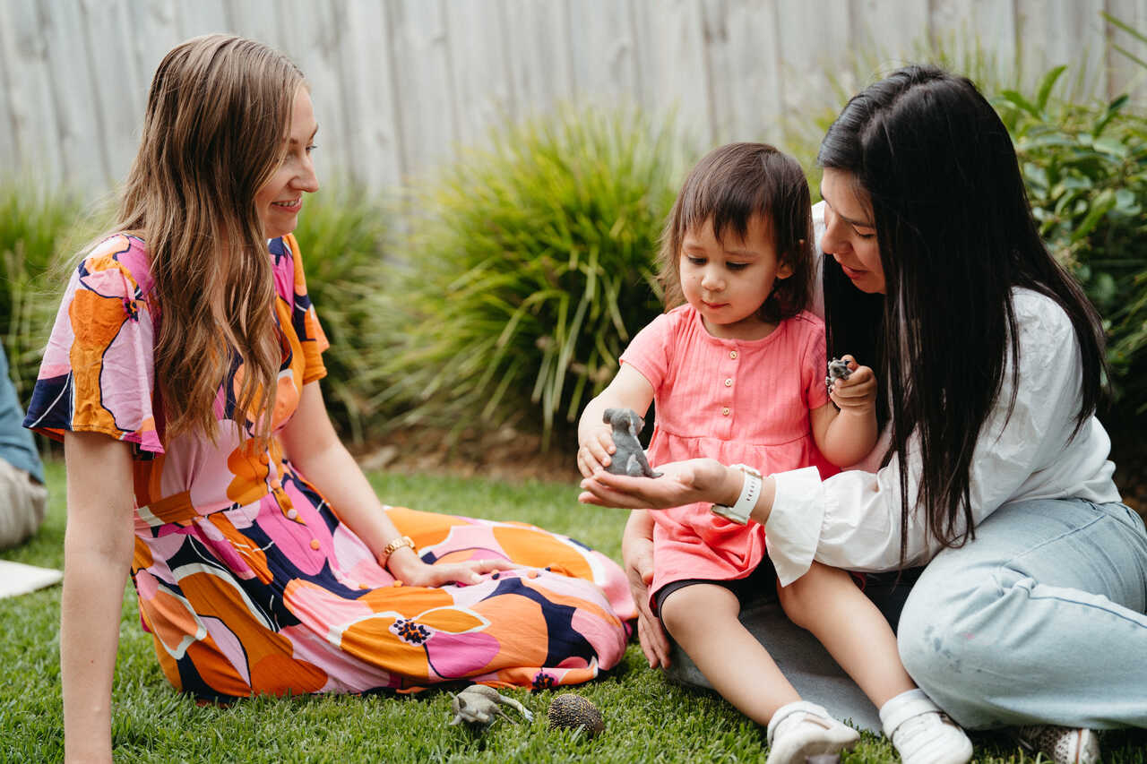 Early intensive behavioural intervention carer training